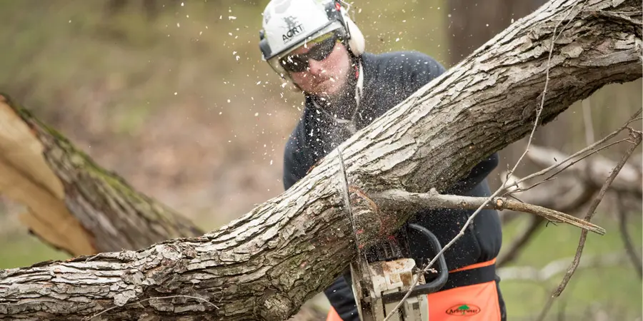 our-people our people