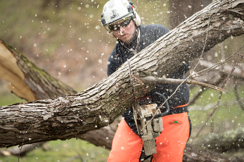 Meet the Senior Instructors - Training and Workshops for Arborists