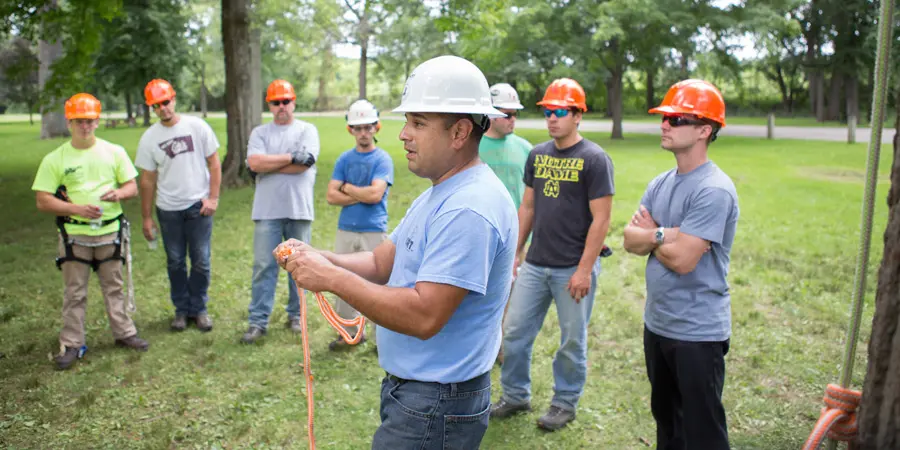 search arborist training jobs