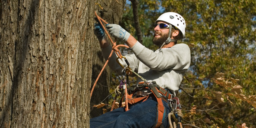 climbing rope clearance