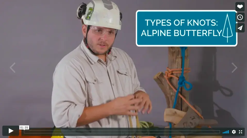 How-To: Tying an Alpine Butterfly knot