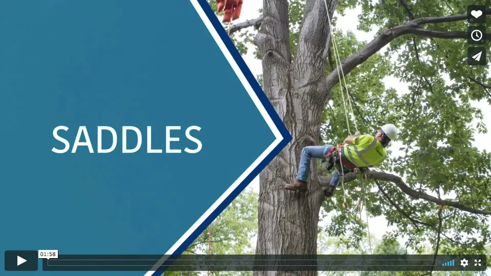 How-To: Inspecting Your Saddle