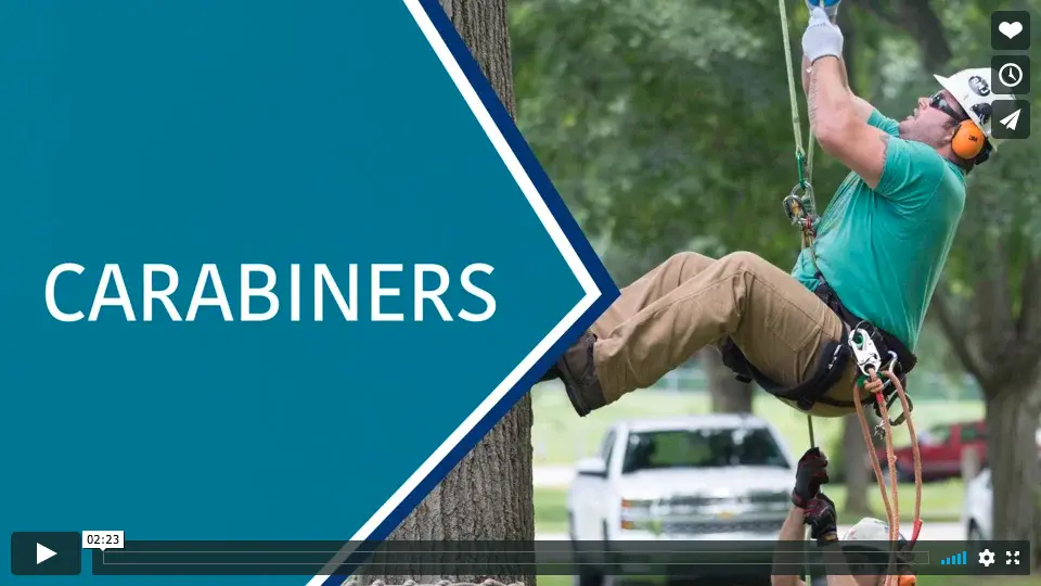 Inspecting your carabineer