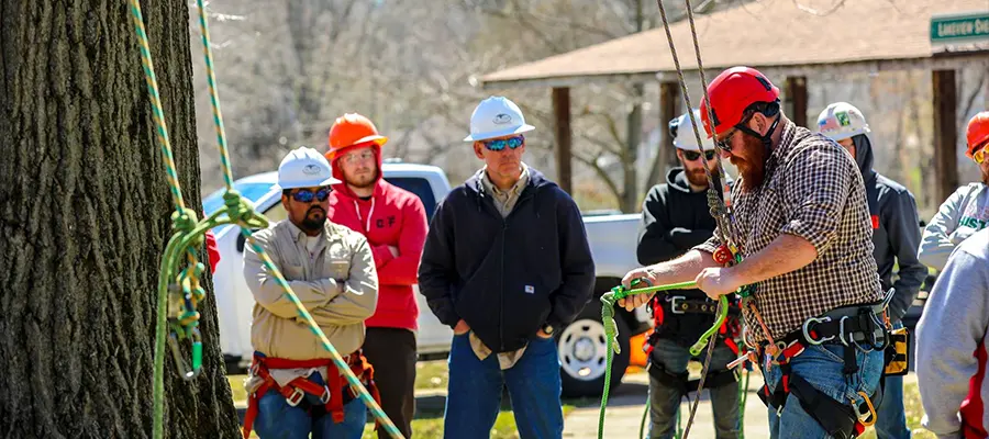 ansi z133 history overview