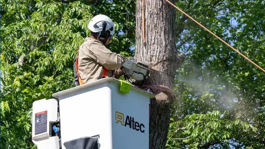 Five-Minute Meeting: Noise Levels and Hearing Damage