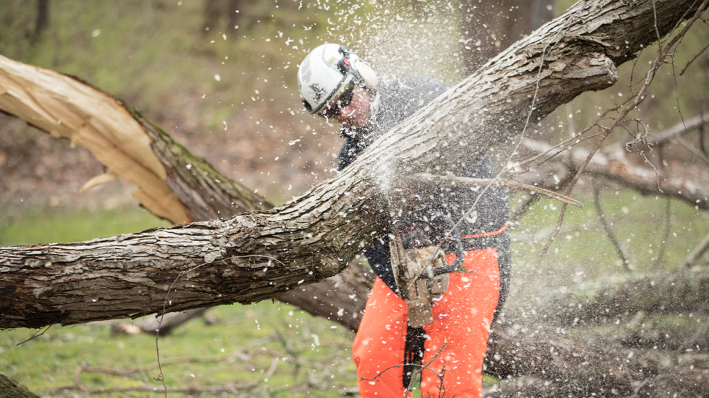 Person experiencing chainsaw kickback