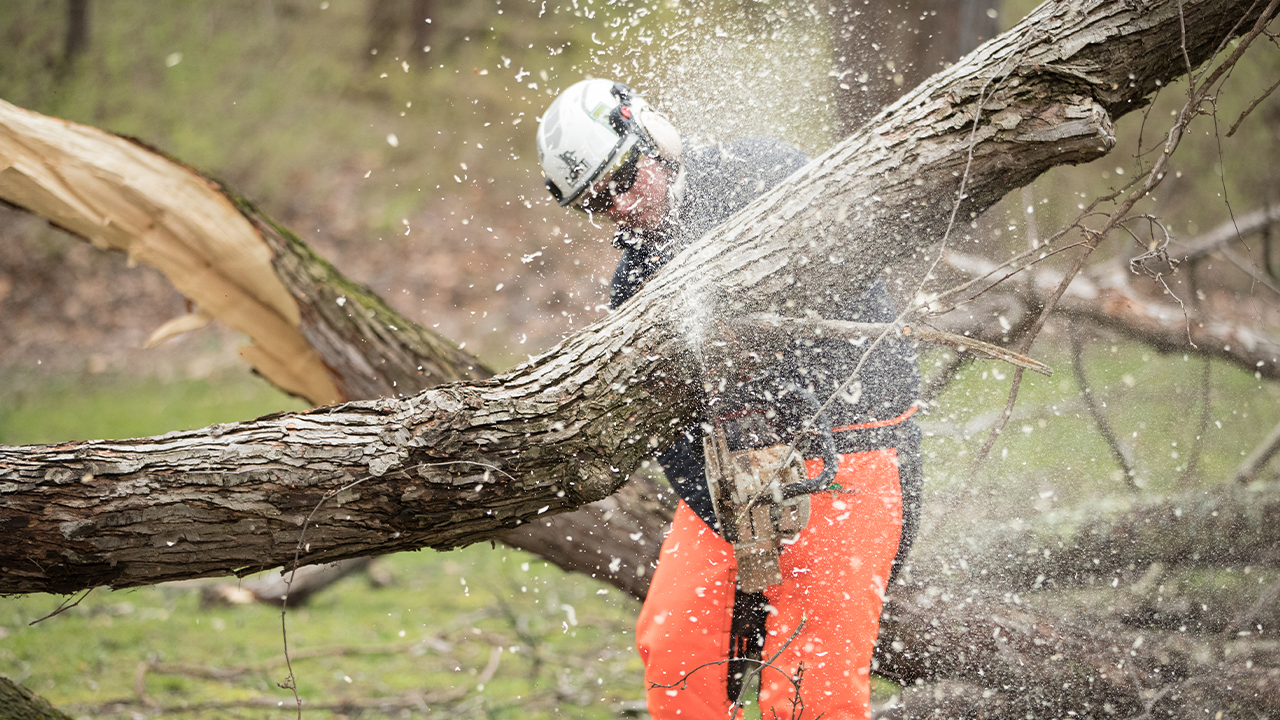 Understanding and Preventing Chainsaw Rotational Kickback