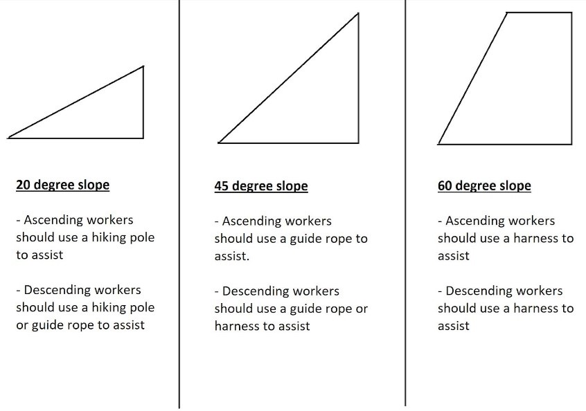 Five-Minute Meeting: Preventing Falls on Steep Terrain - Training and  Workshops for Arborists