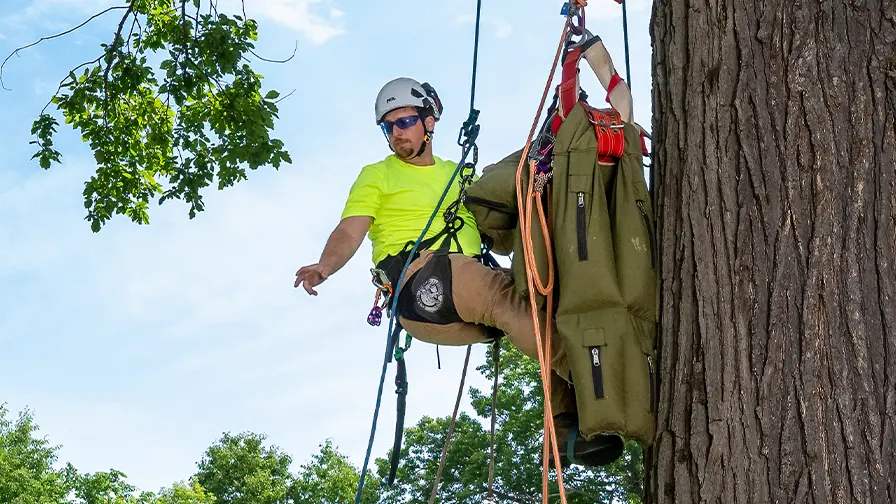Five-Minute Meeting: Aerial Rescue
