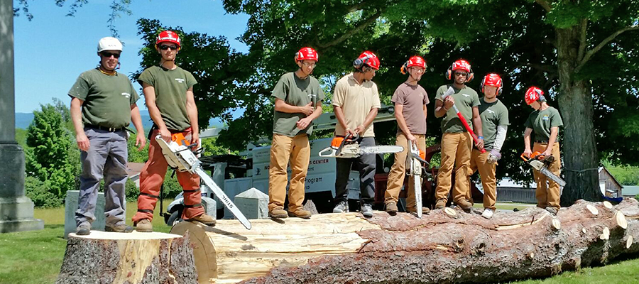 Job Corps’ Impact on At-Risk Youth Through Urban Forestry