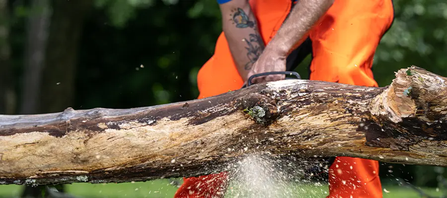 Building Safer, Smarter Line Crews: New Training Modules Now Available