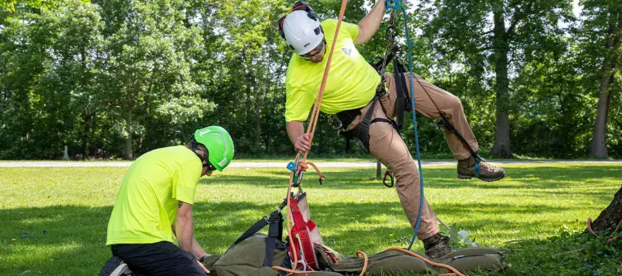 Talking Through Aerial Rescue