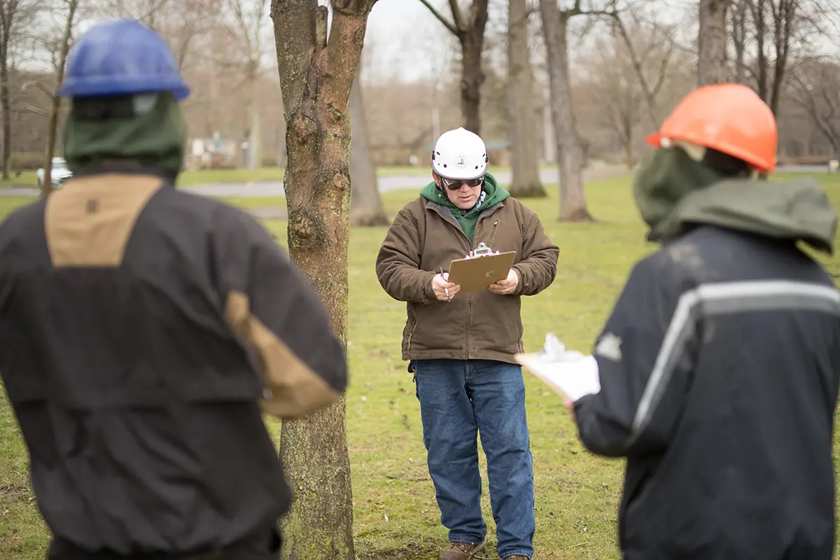arborist training FAQ