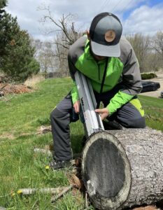 Arborist trainee uses a chainsaw to cut a fallen tree trunk during hands-on training.